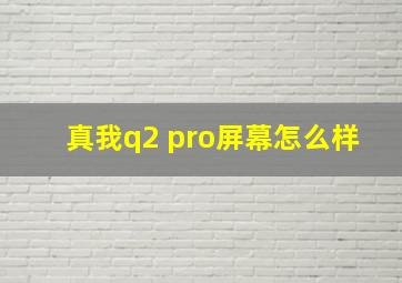 真我q2 pro屏幕怎么样